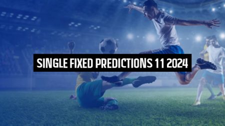 Single fixed predictions 11 2024